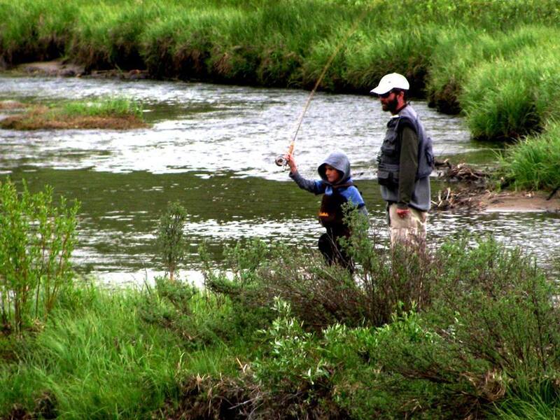 Strategy-Led Web Design